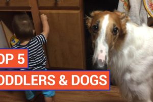 Top 5 Adorable Toddlers and Cute Puppies