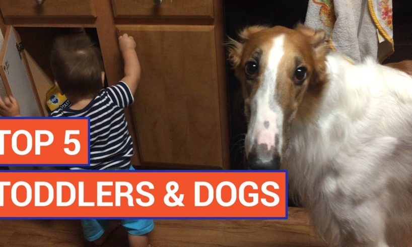 Top 5 Adorable Toddlers and Cute Puppies