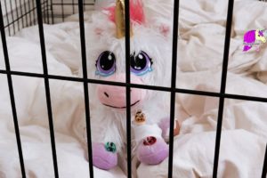 Unicorn Adoption ! Help and Care For A Cute Baby Unicorn Rescue Runts Plush Pet