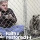 Vet Eats In Rescue Dog's Cage To Make Her Feel Safe. | The Dodo Faith = Restored