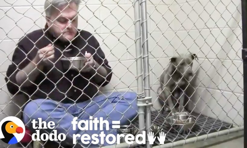 Vet Eats In Rescue Dog's Cage To Make Her Feel Safe. | The Dodo Faith = Restored