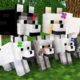 WOLF LIFE MOVIE | Cubic Minecraft Animations | All Episodes + BONUS