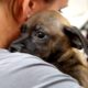 Woman Rescues Puppy From Puerto Rico After Hurricane | The Dodo
