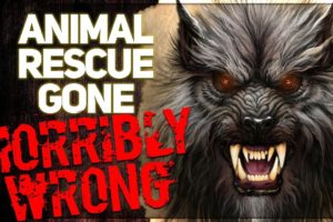 "I Worked in Animal Rescue - THIS is my Most HORRIFYING Experience" | 5 Supernatural Horror Stories