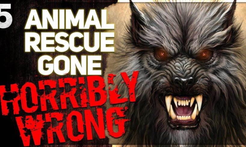 "I Worked in Animal Rescue - THIS is my Most HORRIFYING Experience" | 5 Supernatural Horror Stories