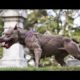 【ANIMAL FIGHTS】The world's strongest dogs 10