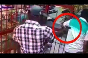 15 VIDEO of People Cheating DEATH