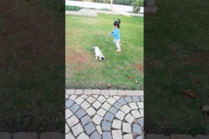 2 year old Playing with cute puppies