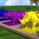 3D Cartoon Animals swimming in water Colors - Learn Colors for Children