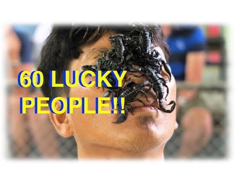 60 CRAZY NEAR DEATH AMAZING ESCAPES COMPILATION!!