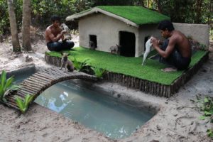 Abandoned Puppies Rescued And Build Mud House with Grass Around And On The Roof