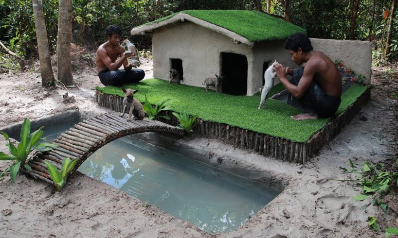 Abandoned Puppies Rescued And Build Mud House with Grass Around And On The Roof