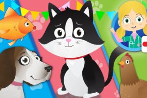 Animals for Kids with Dr Poppy's Pet Rescue | Cartoons For Children