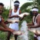 Auto Boys Enjoying Fish Curry | Hunting and Cooking Big Fish Curry | COUNTRY FOODS