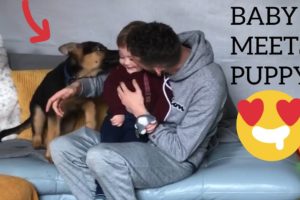 BABY MEETS NEW PUPPY!! [CUTEST REACTION EVER!]