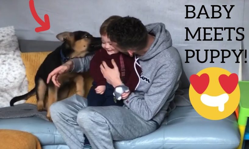 BABY MEETS NEW PUPPY!! [CUTEST REACTION EVER!]