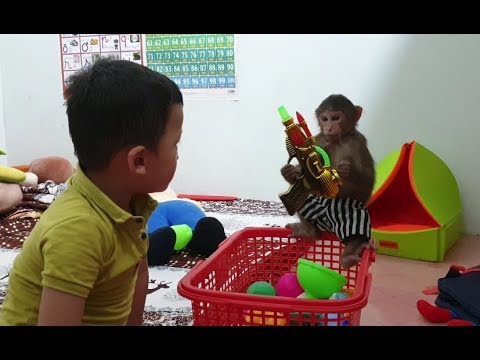 Baby Monkey | Tom And Doo Play Happily Together When Mom Patches Stuffed Animals