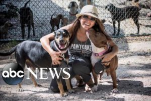 Bahamas woman brings in 97 homeless dogs during Dorian