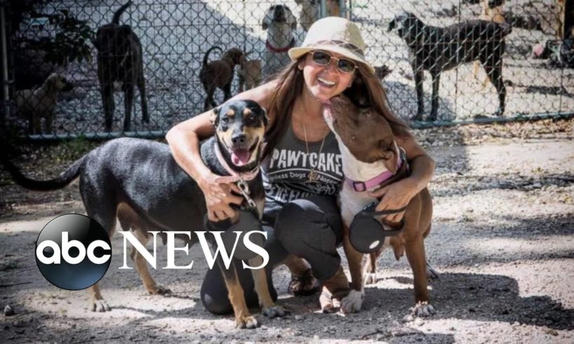 Bahamas woman brings in 97 homeless dogs during Dorian