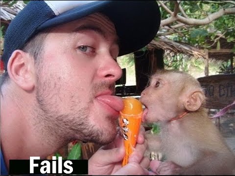 Best Fails of The Week ! Funny Fails Videos September 2019  ! Try Not To Laugh 2019