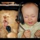 Best Funny Animals & Babies Compilation 2016 ► Funny Cats & Dogs with Babies Try Not to Laugh!