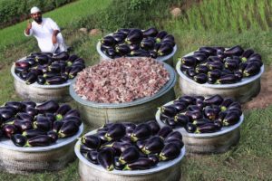 Big Eggplant Mutton Curry | Big Brinjal Mutton Curry Recipe | Nawabs