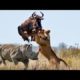 Big battle craziest of Rhino vs Wild Animal - Lion, Leopard, Elephant, Hyenas vs Rhino