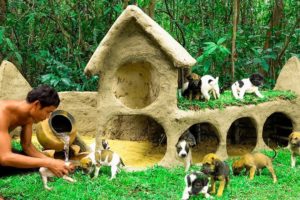 Build Mud House Shelter Of Rain For Abandoned Dogs