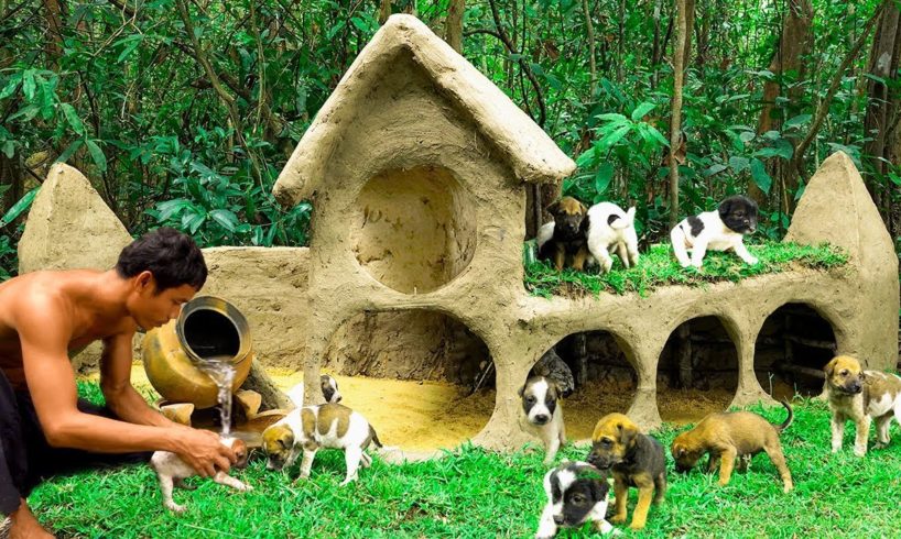 Build Mud House Shelter Of Rain For Abandoned Dogs