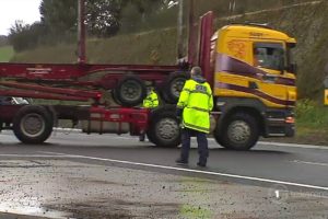 Bus crashes near Rotorua