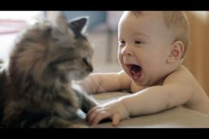 CAN you HANDLE these ULTRA FUNNY kids and animals? - Funny KIDS & ANIMALS compilation