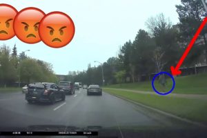 CRAZY ROAD RAGE FIGHT || VEHICLE ACCIDENTS COMPILATION || BAD DRIVERS 2019 #81
