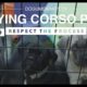 CUTE CANE CORSO PUPS: RESPECT THE BUYING PROCESS