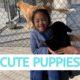 CUTE Puppies | Vella Vlogs | Vlog #58