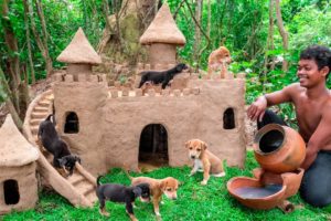 Collect Abandoned Puppy and Build Castle Mud Dog House on Unused Ant Hill