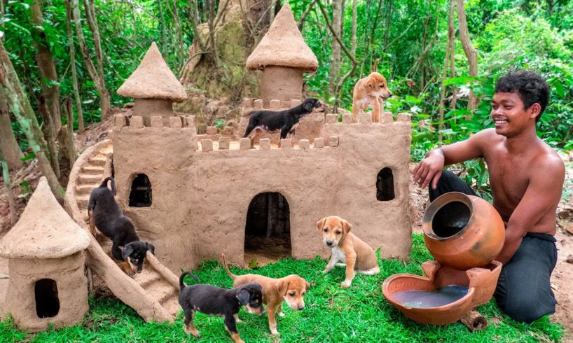 Collect Abandoned Puppy and Build Castle Mud Dog House on Unused Ant Hill