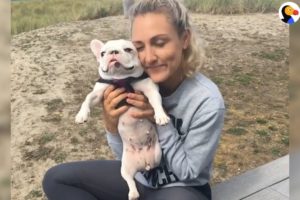 Cute Little Rescue Dog Is So Spoiled - BETHANEE UPDATE | The Dodo