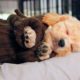 Cute Puppies & Dogs Sleeping #73