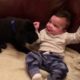 Cutest Puppies Dogs Love and Playing With Baby   Funny Baby Videos test