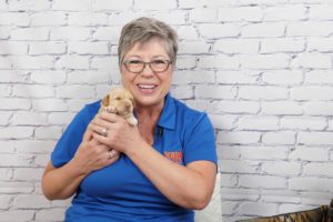 Cutest video of 2 week old labradoodle puppies