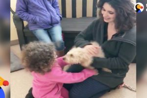 Dog Reunited with Family Gets So Happy After She Recognizes Their Scent | The Dodo
