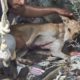 Dog with laceration waits patiently in well for rescuers