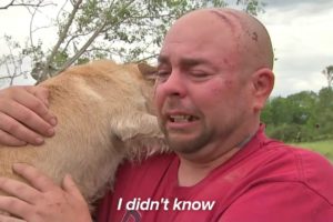 Dogs Meet Owners After Tornadoes