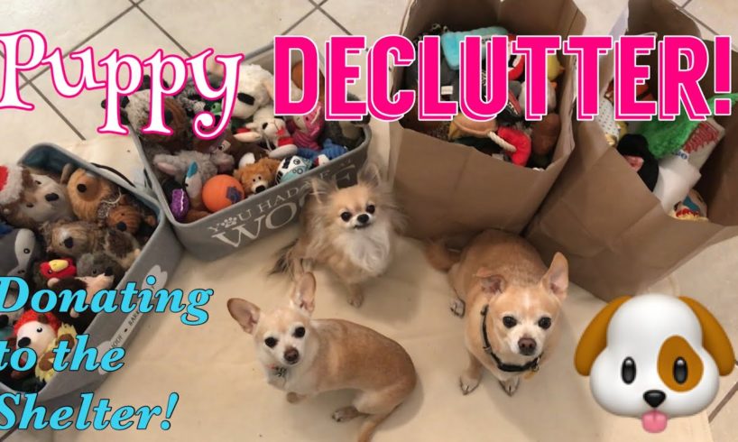 Donating to an Animal Rescue | DECLUTTER & DONATE | Dog Toy Edition