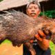 EXTREME BALI!!! RARE Sacred Animal Meal in Bali, Indonesia!!! (Once every ten years)