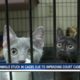 Emergency Shelter Spends $350K Taking Care Of Rescued Animals