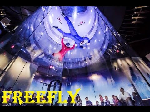 FREEFLY INDOOR 2019 The Best of People Are AwesomE