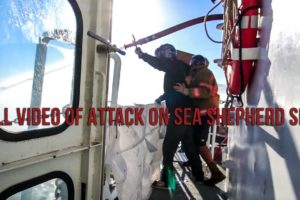 FULL VIDEO - SEA SHEPHERD ATTACKED BY POACHERS Jan 31, 2019