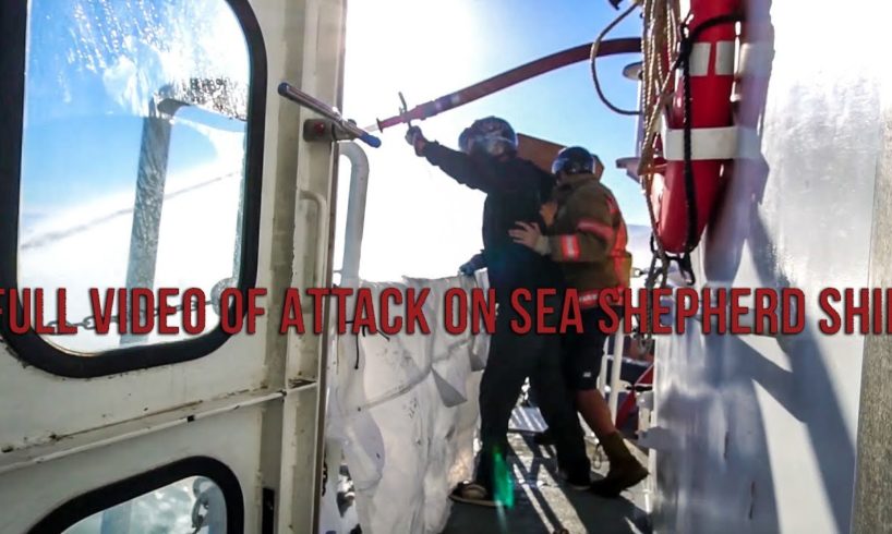 FULL VIDEO - SEA SHEPHERD ATTACKED BY POACHERS Jan 31, 2019