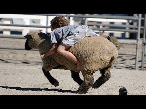 FUNNIEST FARM ANIMALS and Cute KIDS Compilation - Haven't seen better yet! LAUGH with us!